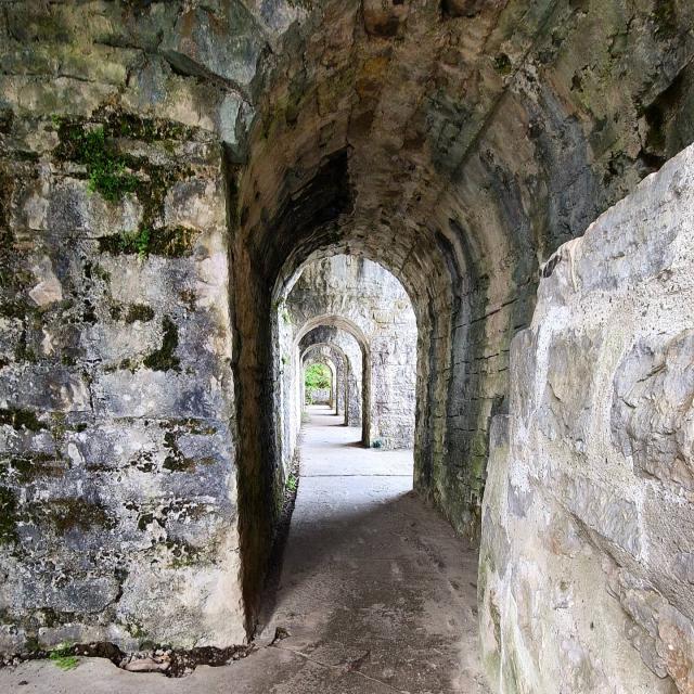 Instagram #sauveterredebearn