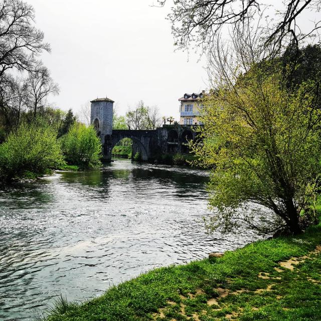 Instagram #sauveterredebearn