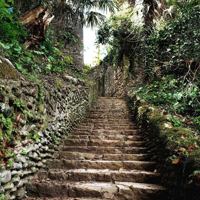 Instagram #sauveterredebearn