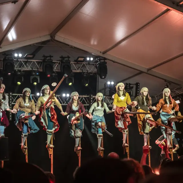 Les Chancaires (échassiers) de Saint-Pé-de-Léren