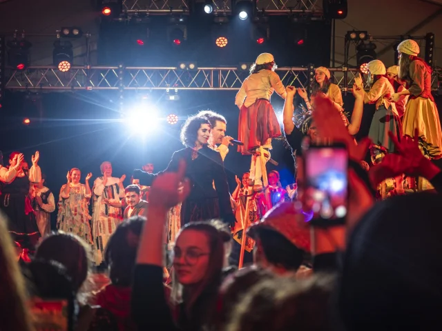 Les Chancaires (échassiers) de Saint-Pé-de-Léren