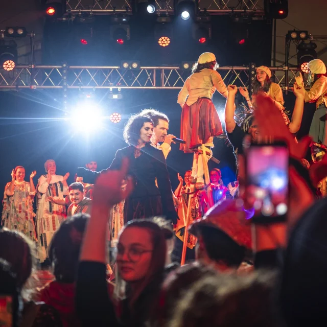 Les Chancaires (échassiers) de Saint-Pé-de-Léren